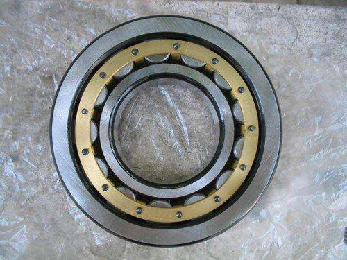 Fashion conveyor idler bearing 6310 C3